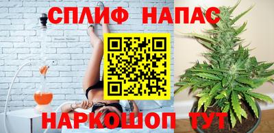 ALPHA PVP Гусев